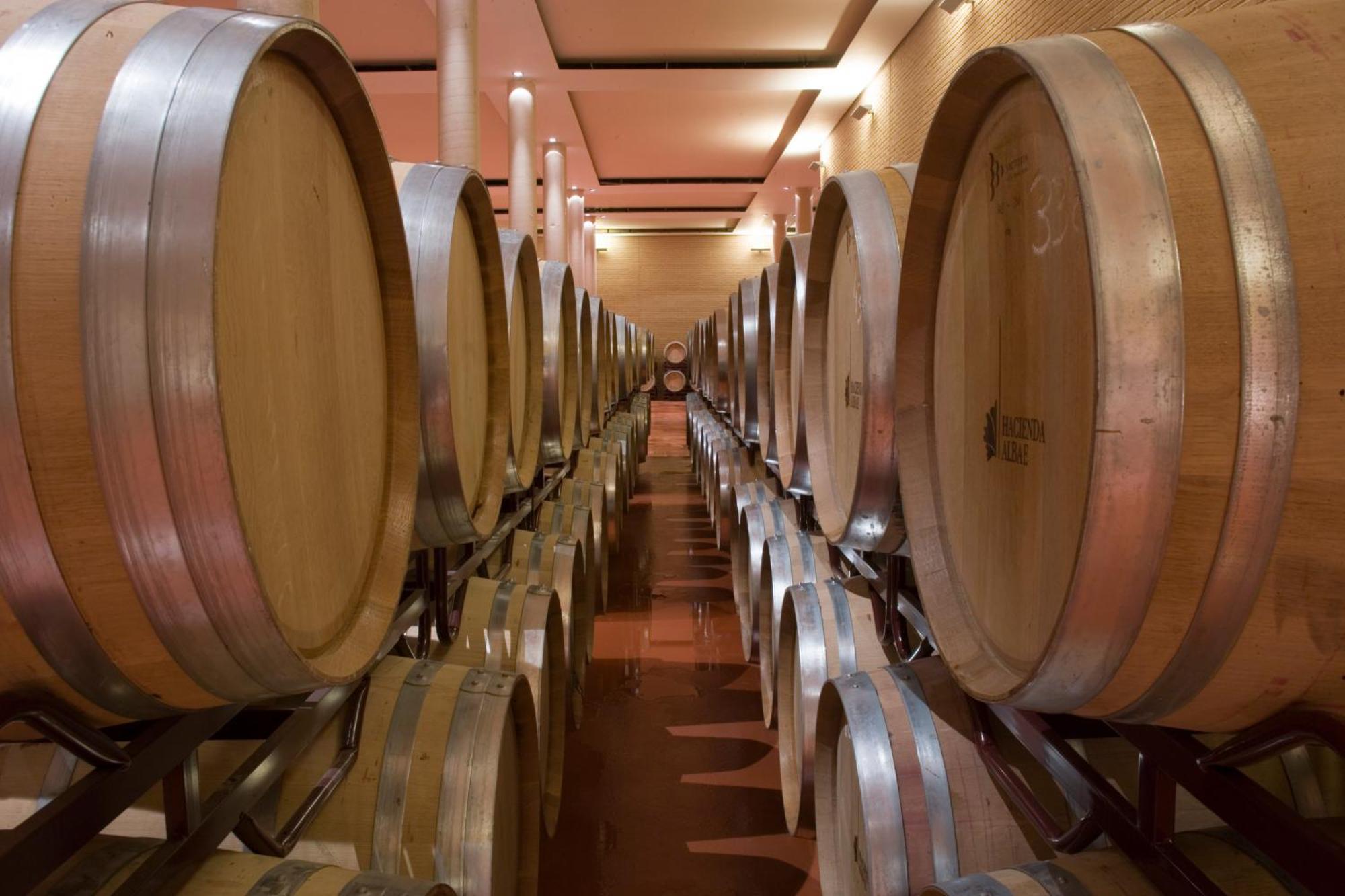 Bodegas Hacienda Albae Guest House Argamasilla De Alba Bagian luar foto